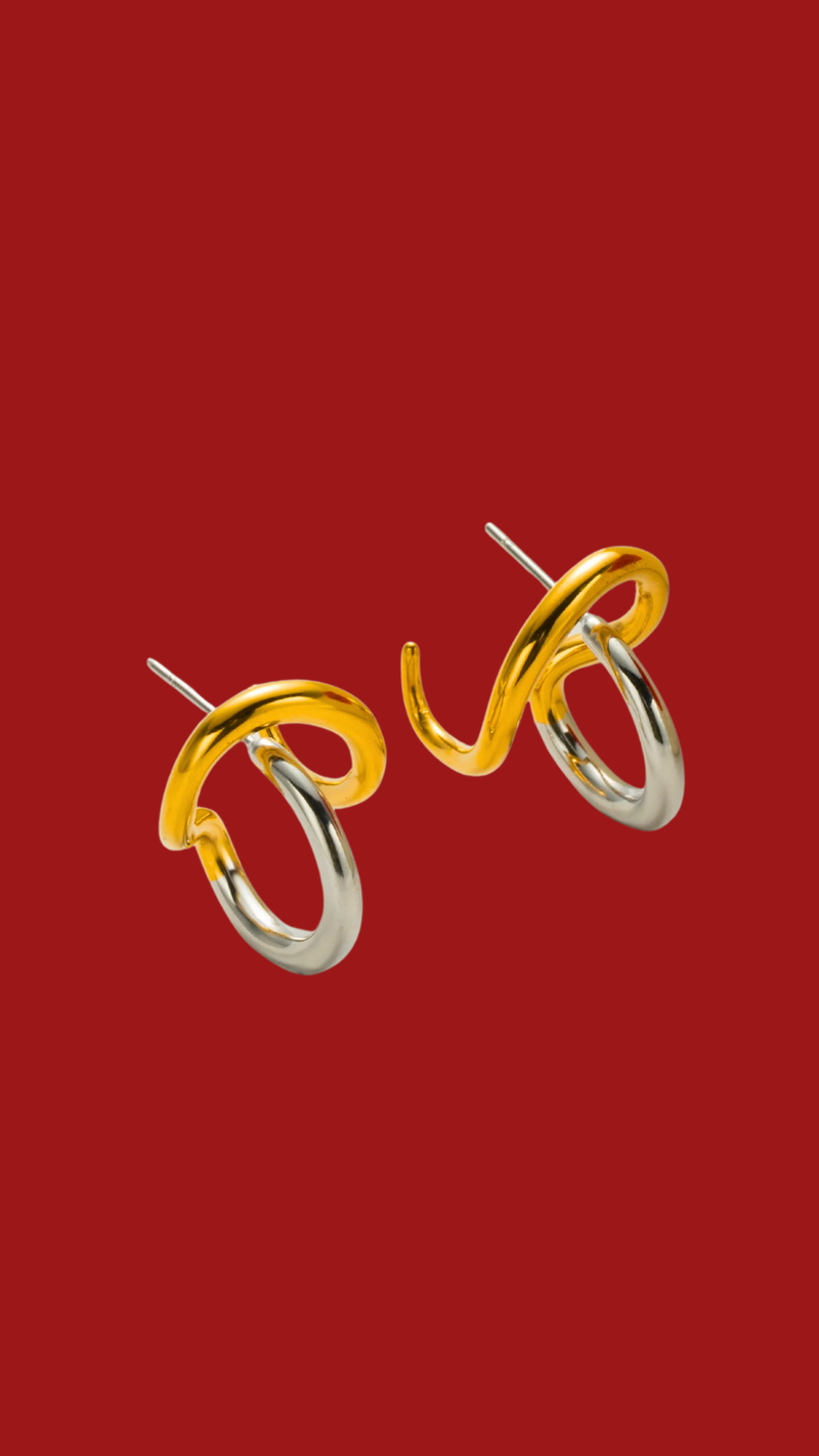 earrings duo